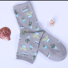 Load image into Gallery viewer, Cactus Socks | Adult UK Size 2-6 | Cacti, House Plants, Flowers, | Colourful, Happy, Soft, Unisex Socks