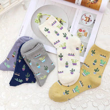 Load image into Gallery viewer, Cactus Socks | Adult UK Size 2-6 | Cacti, House Plants, Flowers, | Colourful, Happy, Soft, Unisex Socks