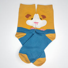 Load image into Gallery viewer, Guinea Pig Socks
