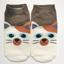 Load image into Gallery viewer, Cute Cat Socks | Trainer Summer Cotton Socks | Adorable Happy Socks
