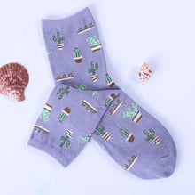 Load image into Gallery viewer, Cactus Socks | Adult UK Size 2-6 | Cacti, House Plants, Flowers, | Colourful, Happy, Soft, Unisex Socks
